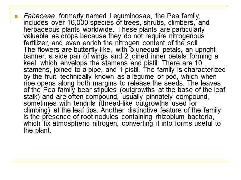 Fabaceae, formerly named Leguminosae, the Pea family, includes over 16,000 species of trees, shrubs,